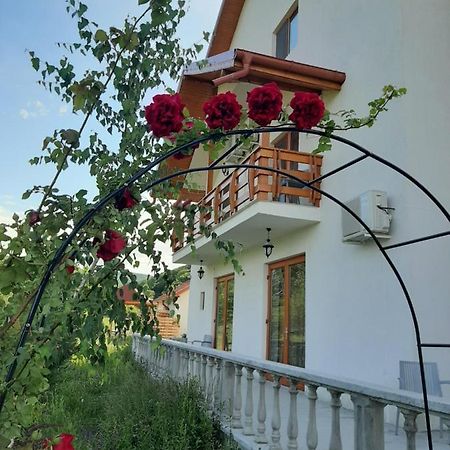 Pensiunea Agroturistica Green Odoba Sătuc 外观 照片