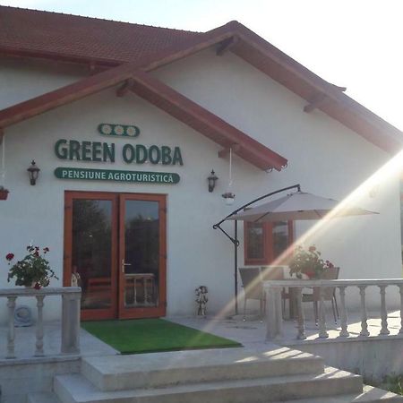 Pensiunea Agroturistica Green Odoba Sătuc 外观 照片