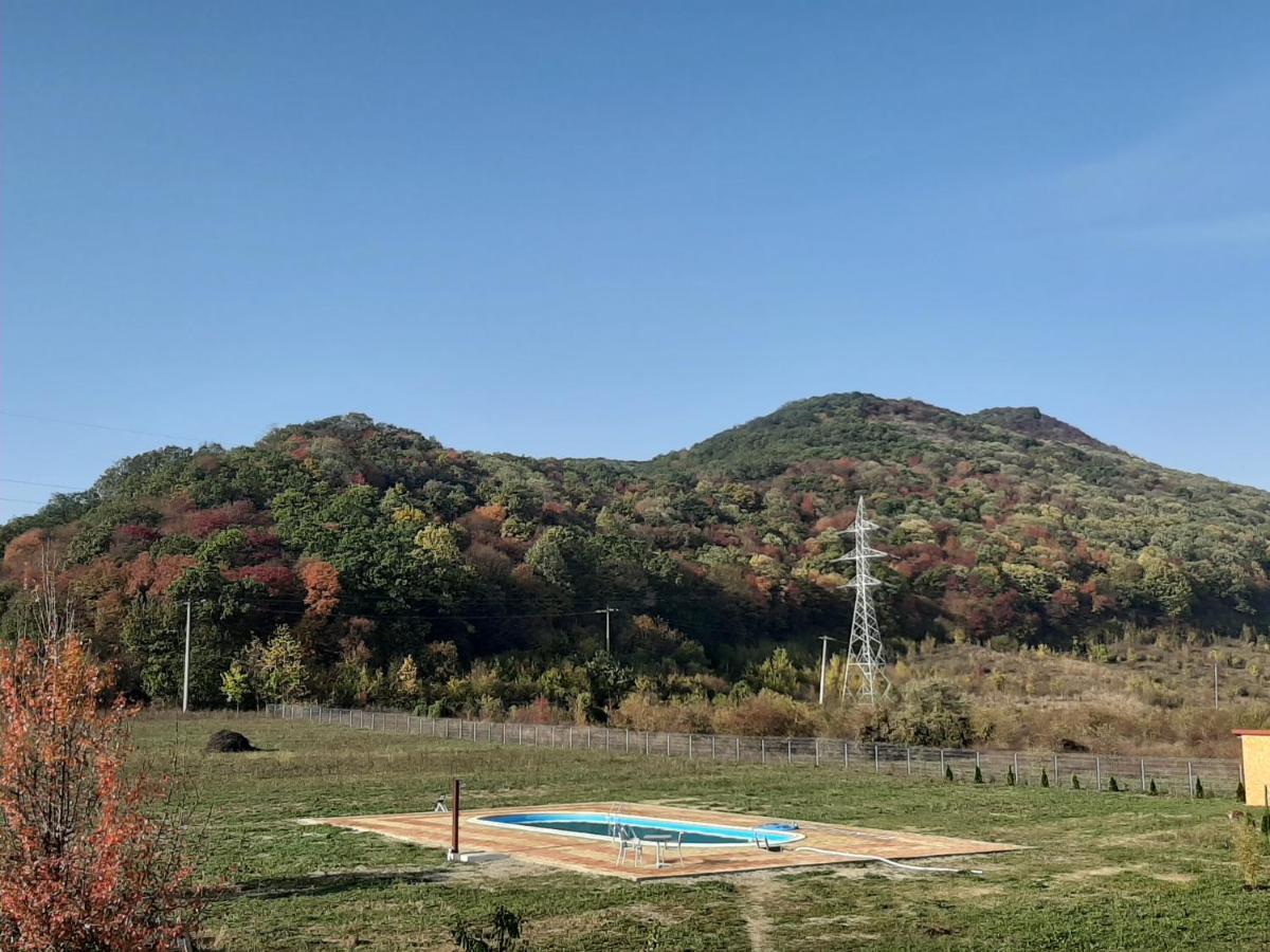 Pensiunea Agroturistica Green Odoba Sătuc 外观 照片