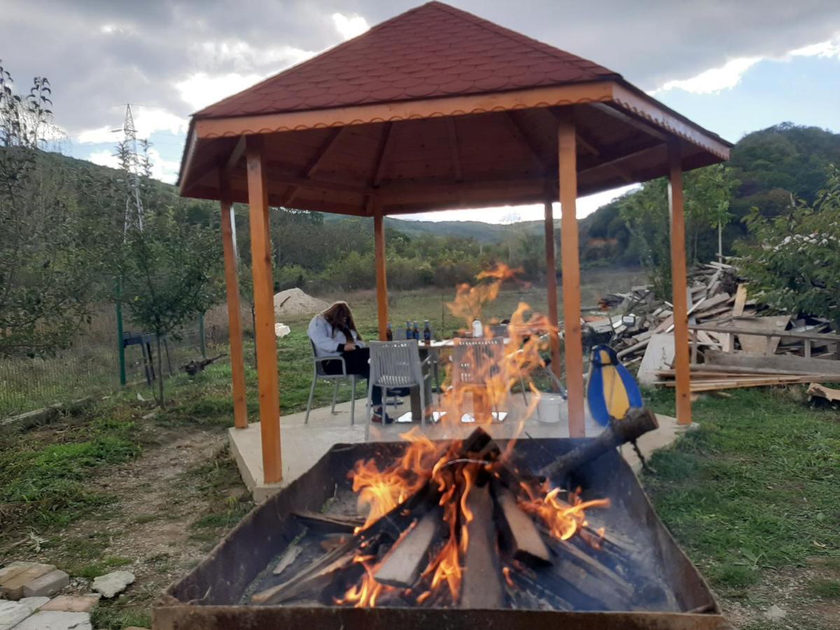 Pensiunea Agroturistica Green Odoba Sătuc 外观 照片