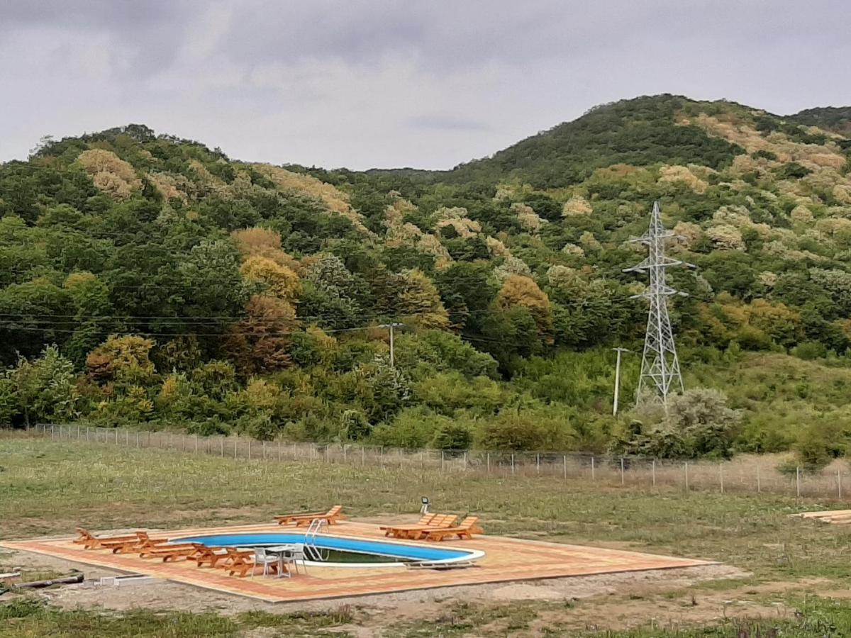 Pensiunea Agroturistica Green Odoba Sătuc 外观 照片
