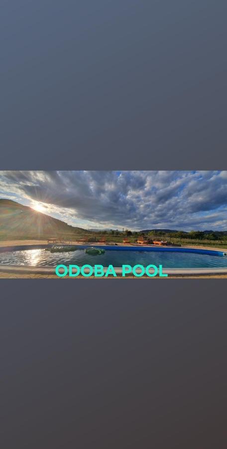Pensiunea Agroturistica Green Odoba Sătuc 外观 照片