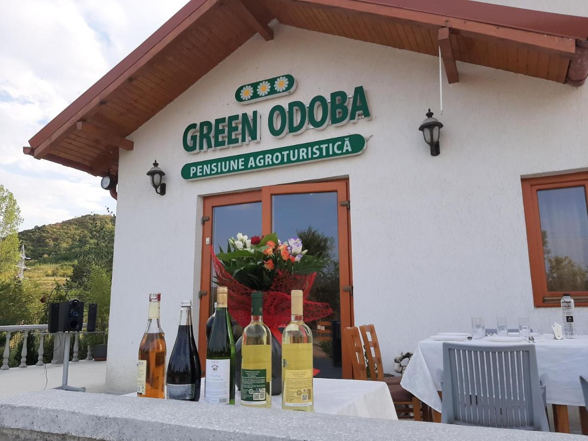 Pensiunea Agroturistica Green Odoba Sătuc 外观 照片