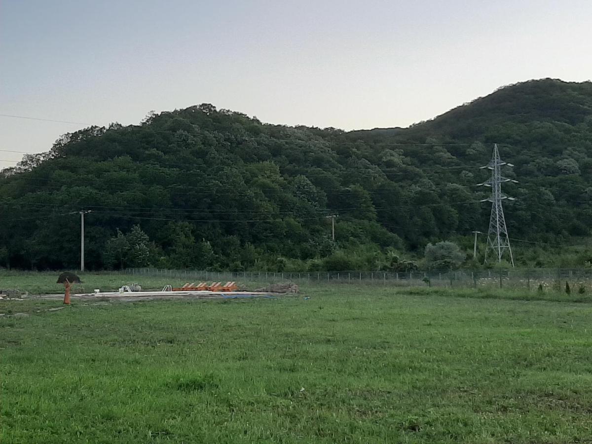 Pensiunea Agroturistica Green Odoba Sătuc 外观 照片