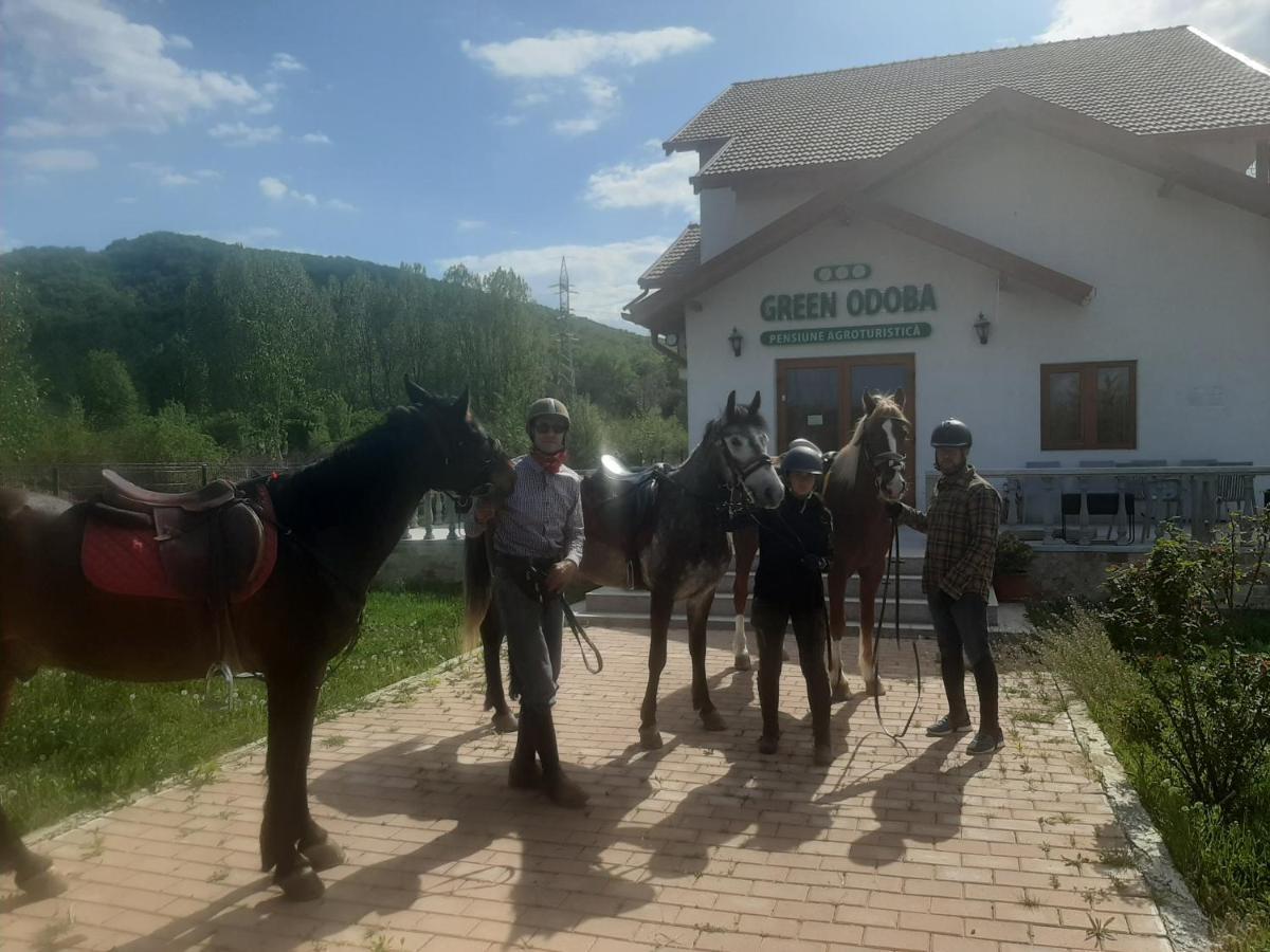 Pensiunea Agroturistica Green Odoba Sătuc 外观 照片