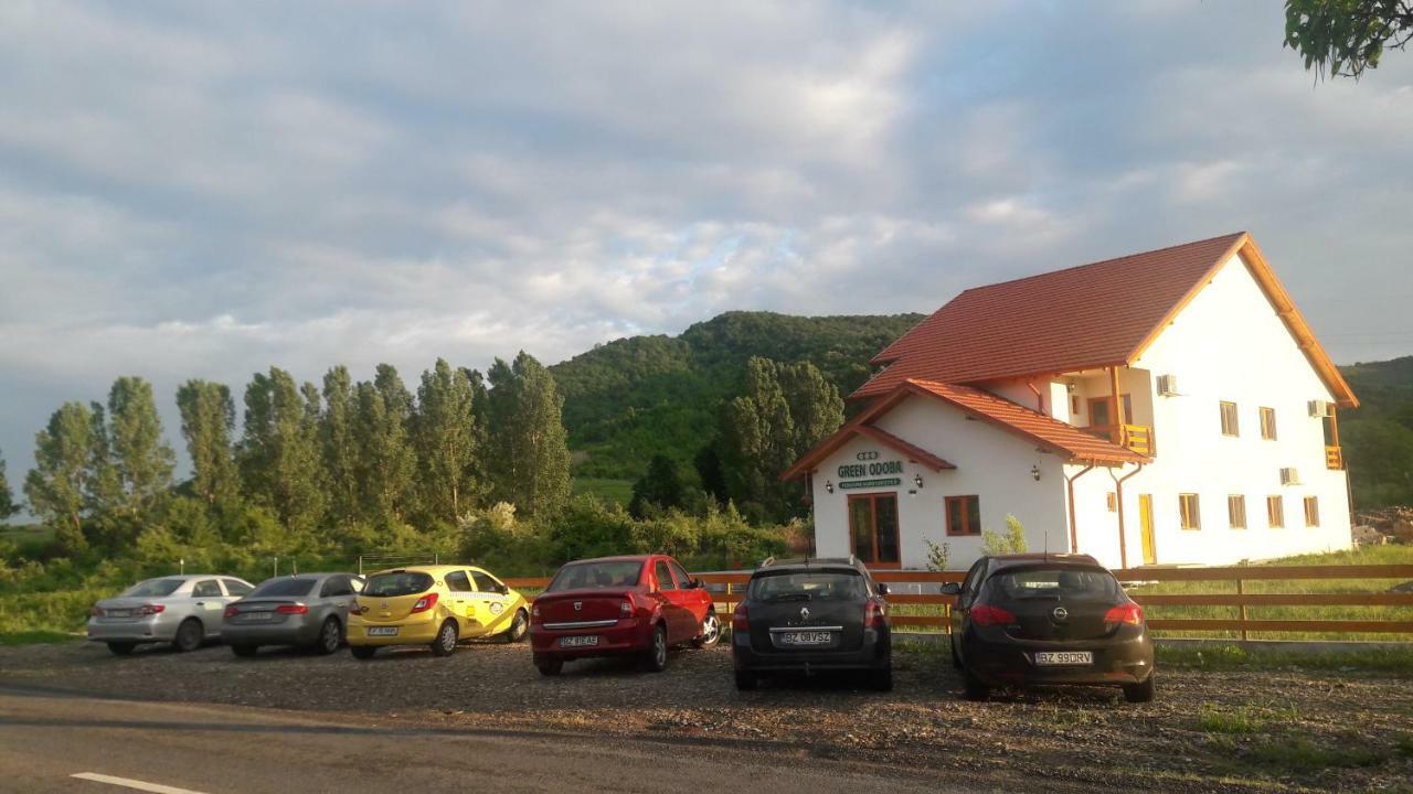 Pensiunea Agroturistica Green Odoba Sătuc 外观 照片