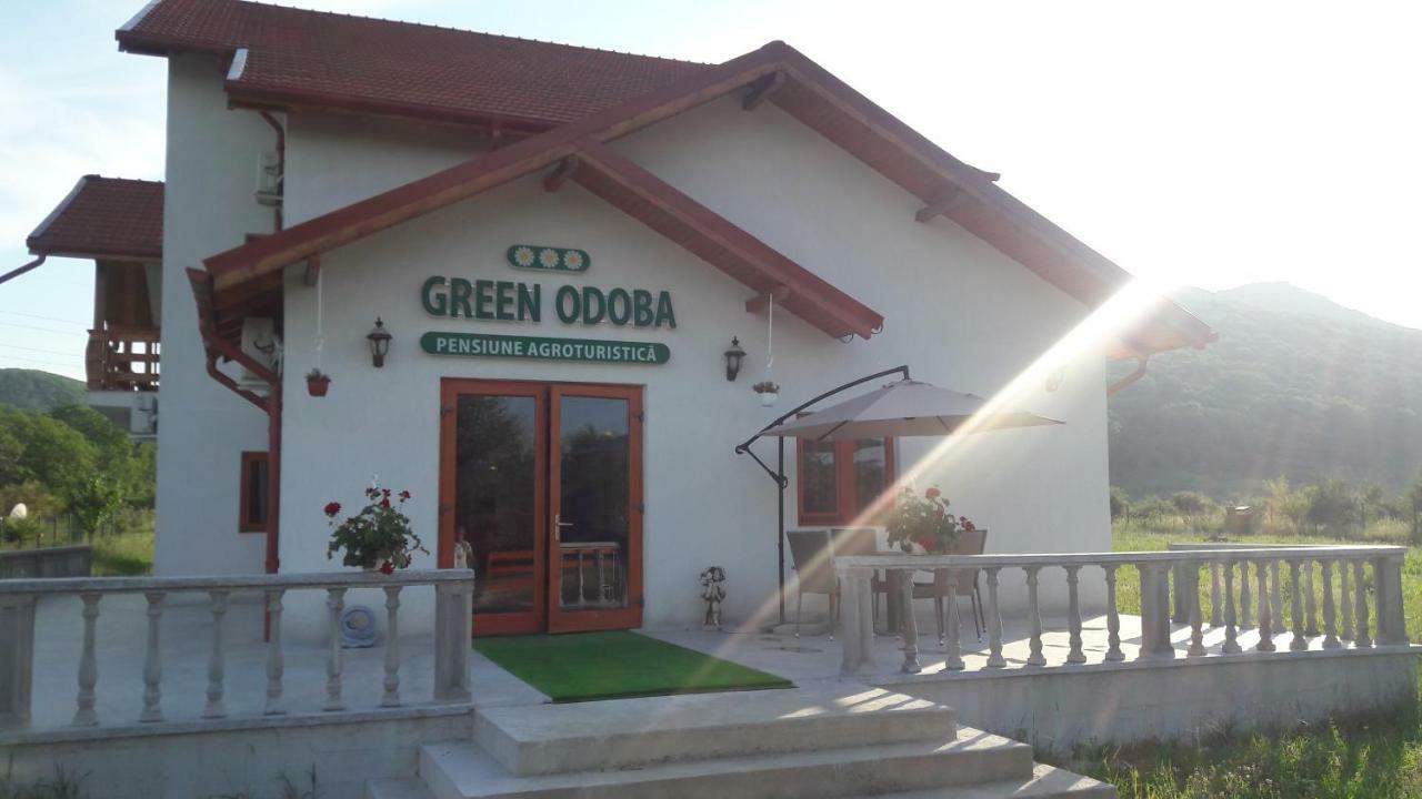 Pensiunea Agroturistica Green Odoba Sătuc 外观 照片
