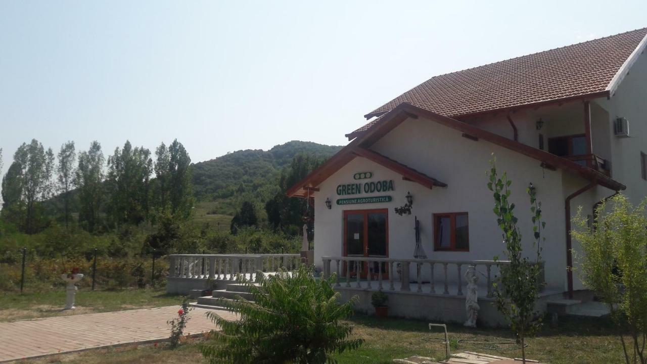 Pensiunea Agroturistica Green Odoba Sătuc 外观 照片