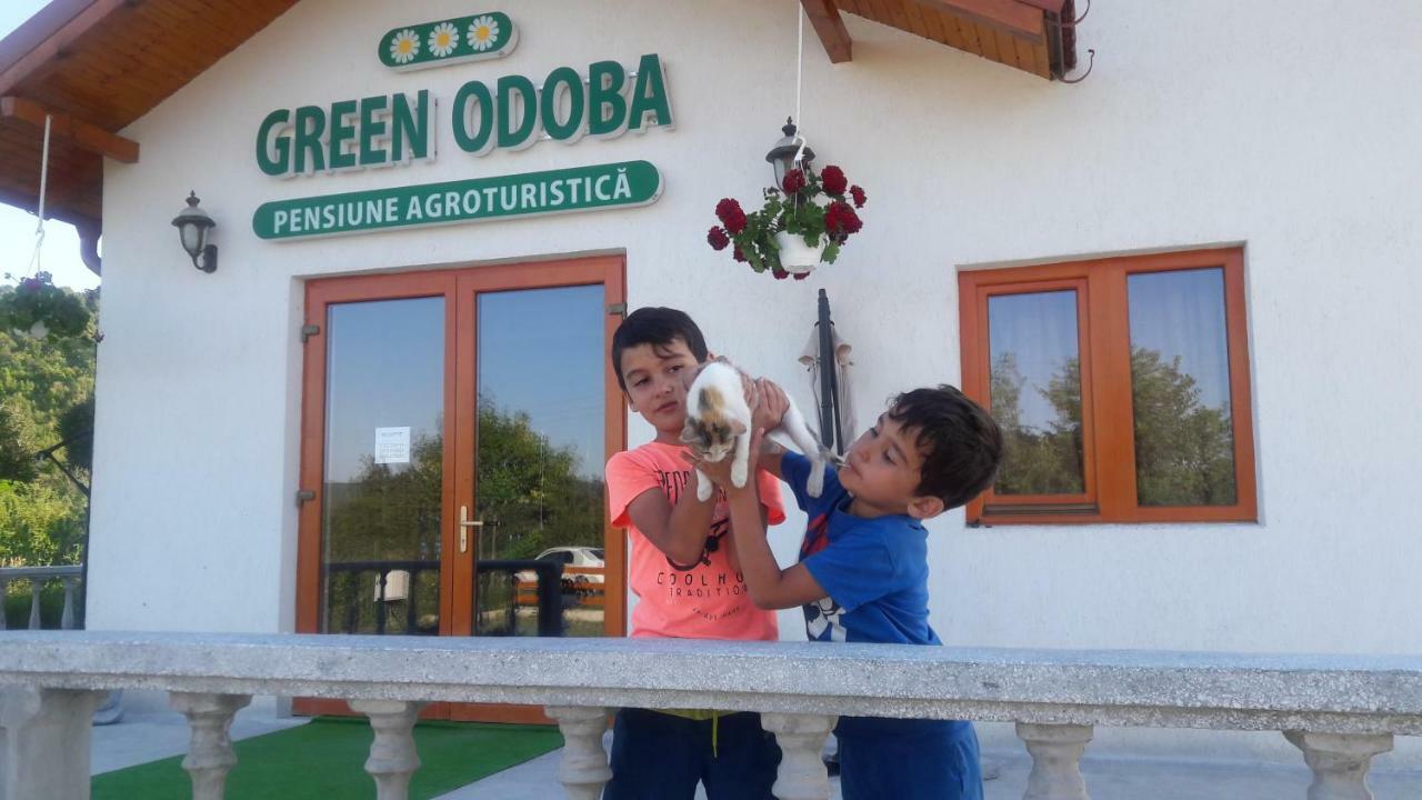 Pensiunea Agroturistica Green Odoba Sătuc 外观 照片